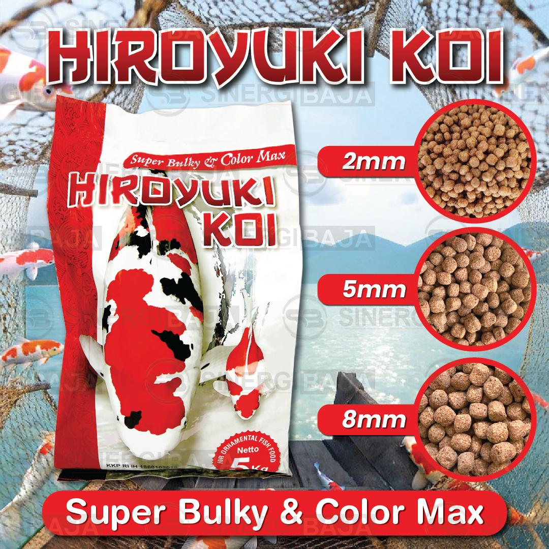 HIROYUKI SUPER BULKY & COLOUR MAX